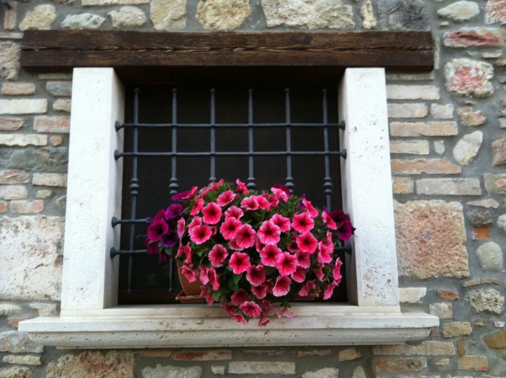 Agriturismo La Cantina Ascoli Piceno Exteriér fotografie