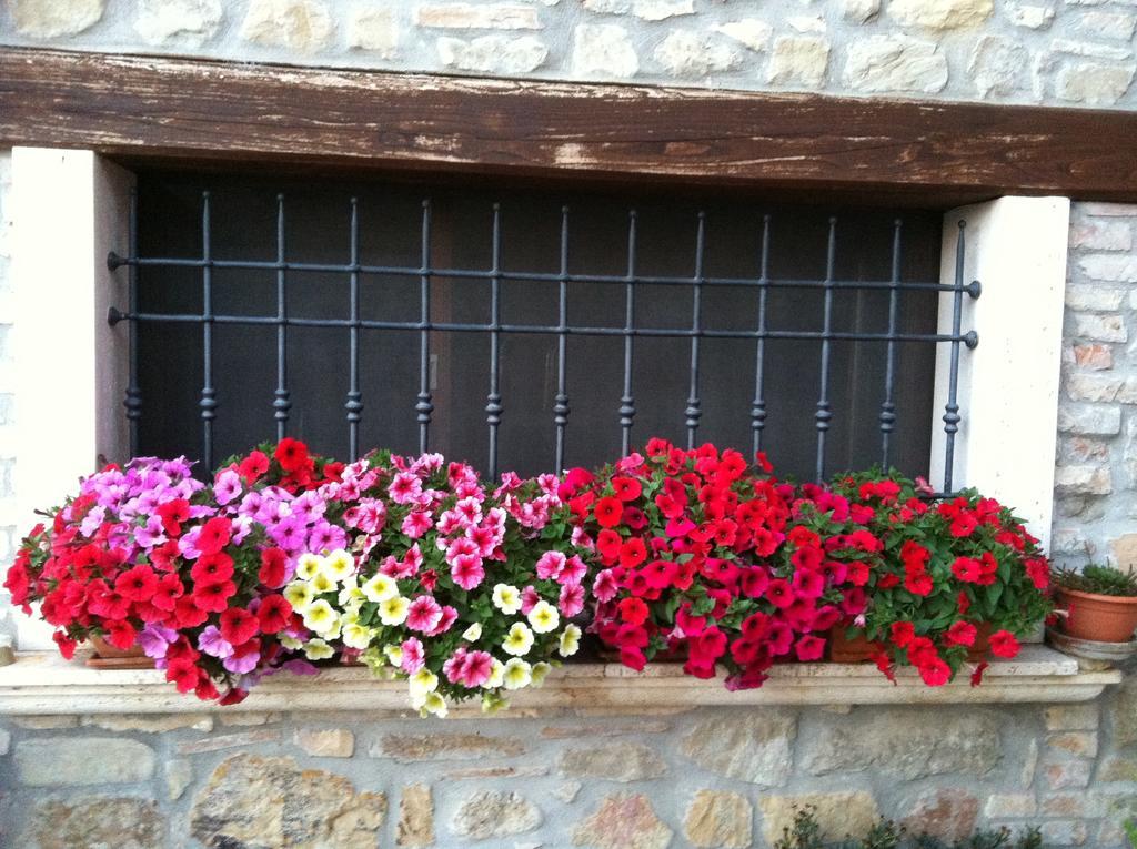 Agriturismo La Cantina Ascoli Piceno Exteriér fotografie